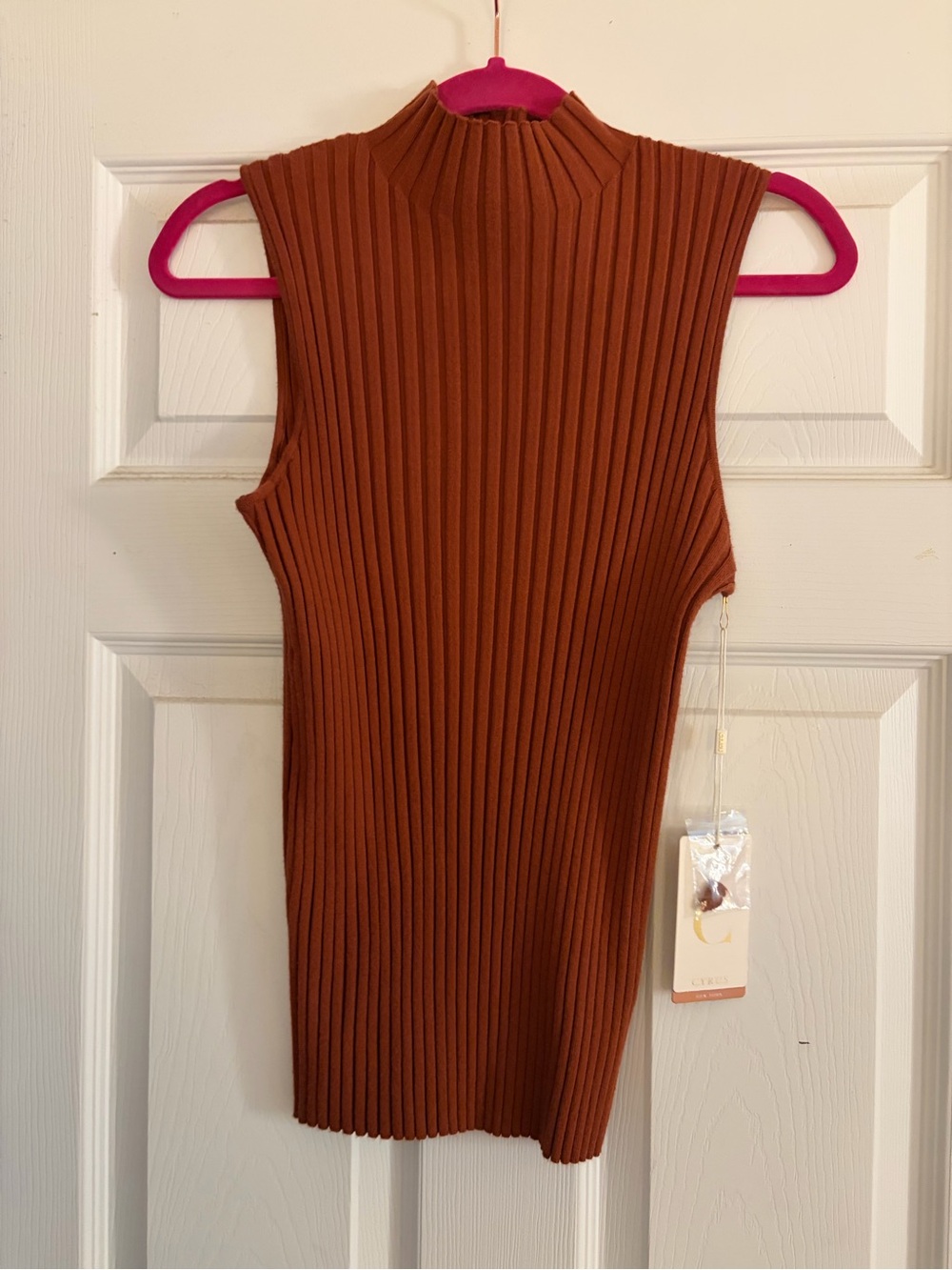 Cyrus Ribbed Sleeveless Mock Neck Tank Top in Rust